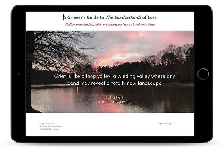 grief ebook as it looks on tablet